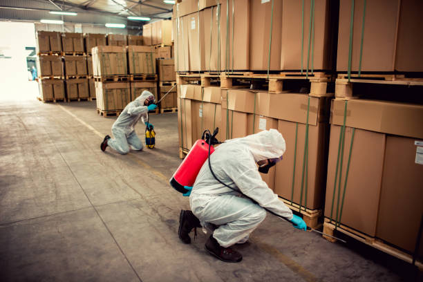 Best Mosquito Control Services  in Weatogue, CT