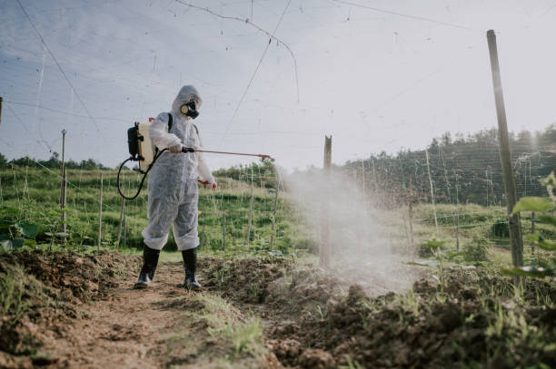 Best Pest Control Cost  in Weatogue, CT
