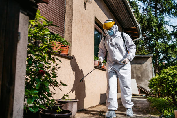 Flea Control Services in Weatogue, CT