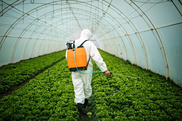 Best Mosquito Control Services  in Weatogue, CT