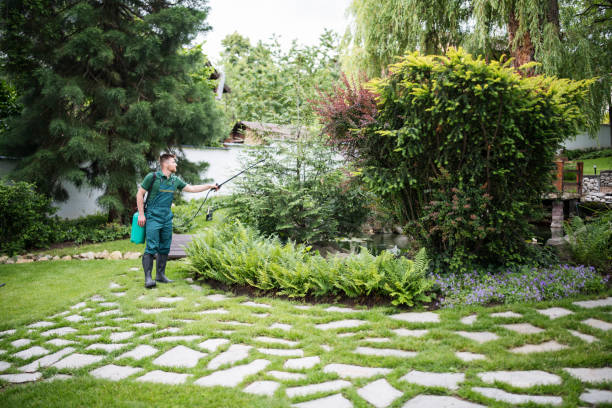 Best Local Pest Control Services  in Weatogue, CT