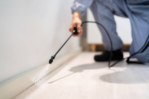 Pest Control Cost in Weatogue, CT