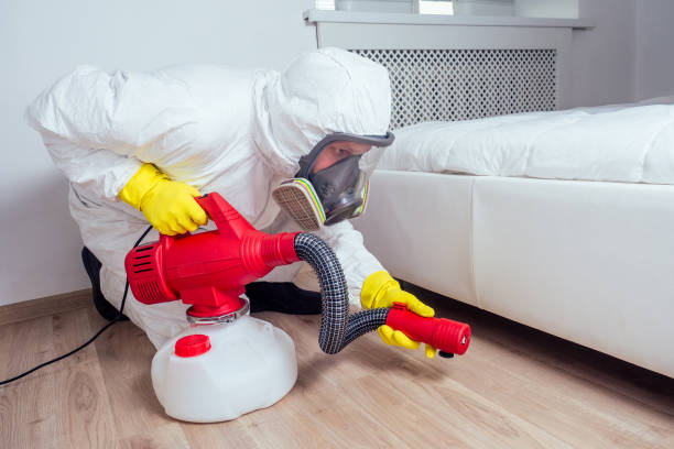 Best Termite Control Services  in Weatogue, CT