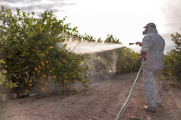 Best Residential Pest Control  in Weatogue, CT