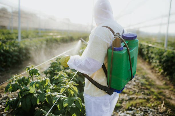 Best Local Pest Control Services  in Weatogue, CT